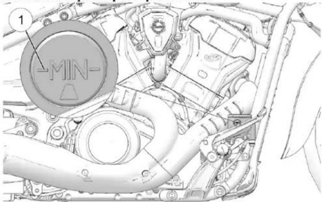Indian Sport Scout Limited (2025) - LLIQUUIDDEE DDEE FFRREEIINN AARRRRIEERRE - 1