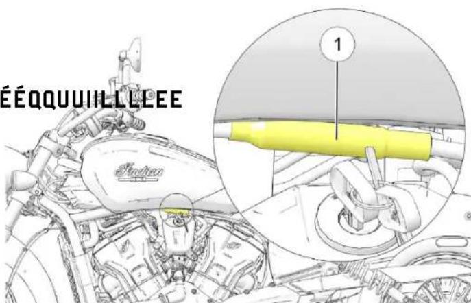 Indian Sport Scout Limited (2025) - LLUUBBRRIFFIICCAATTIIOONN DDEE LLAA BBEBEQQUILLEEE - 1