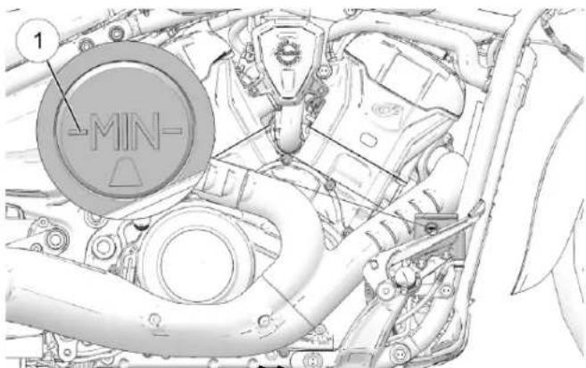 Indian Sport Scout Limited (2025) - NNIIVVEAAUU DDUU LLIQUUIIDDEE DDEE - 1