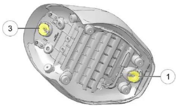 Indian Sport Scout Limited (2025) - AVIS - 1