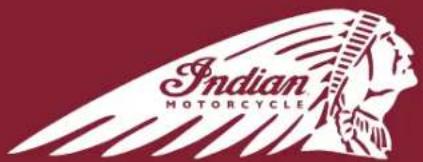 Indian Sport Scout Limited (2025) - INDEX - 1