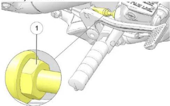 Indian Sport Scout Limited (2025) - PPEEDDAALLEE DDEE FFRREEIINN AARRRRIEEGGLAAGGEE DDEE LLAA PPEEDDAALLEE - 1