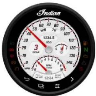 Indian Sport Scout Limited (2025) - Standard - 1