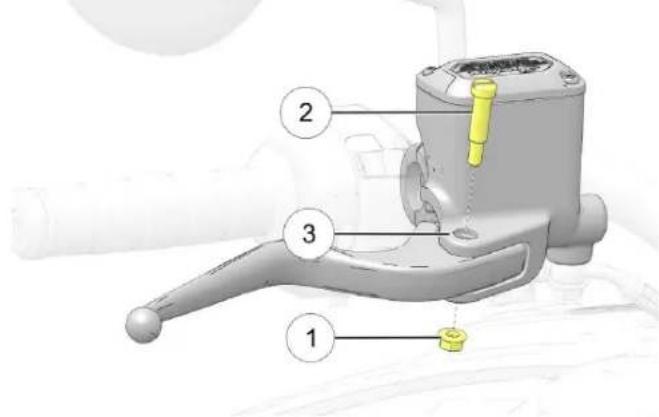 Indian Sport Scout Limited (2025) - LLEEVVIEERR DDEE FFRREEIINN AAVVAANNTT - 1