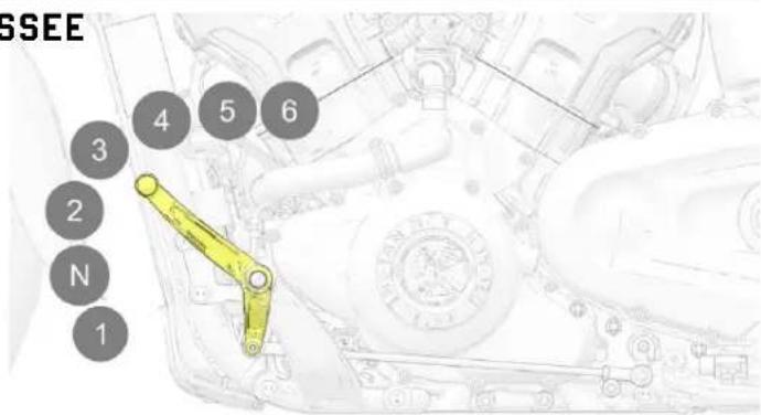 Indian Sport Scout Limited (2025) - AVERTISSEMENT - 1