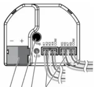 STEINEL UI2 KNX - Busanschluss - 2
