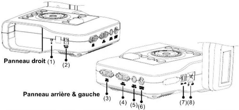 AVer AVerVision CP135 - Branchements - 1