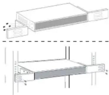 Intellinet 562003 - Placement - 2