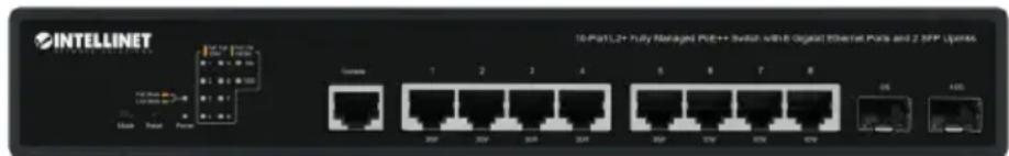 Intellinet 562003 - Connexions - 1