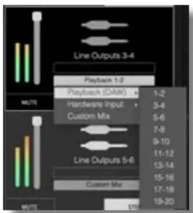 FOCUSRITE Clarett+ 4 Pre - Les sorties - 3