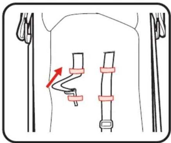 GRACO Ready2Jet - Adjusting Shoulder Harness position • Réglage de la position du hnais d'épaules • Ajustar la posición del arnes para los+hombros - 2