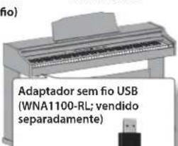 ROLAND RP401R - Sobre a funcao Wireless LAN (rede local sem fio) - 3