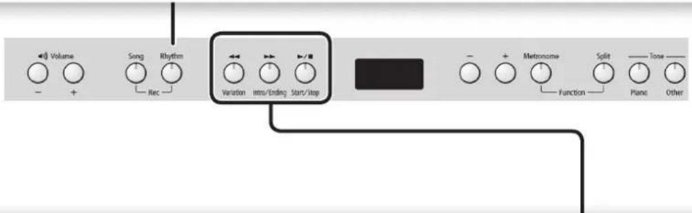 ROLAND RP401R - Interpretación de acordes - 2
