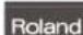 ROLAND RP401R - 555 - 2