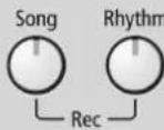 ROLAND RP401R - Note sullo schermo - 2