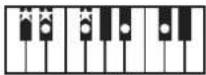 ROLAND RP401R - Chord Fingering List - 28