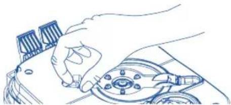 Fluval 307 - Purgador - 1