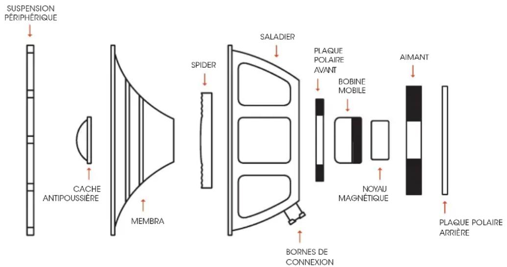 Palmer CAB 212 BX V30 - 5.2) LES DIFFÉRENTES PARTIES D'UN HAUT-PARLEUR - 1