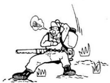 Maruyama MS415 - Points in Operation - 1