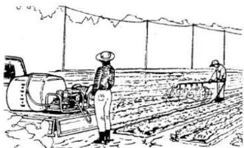 Maruyama MS415 - Points in Operation - 7