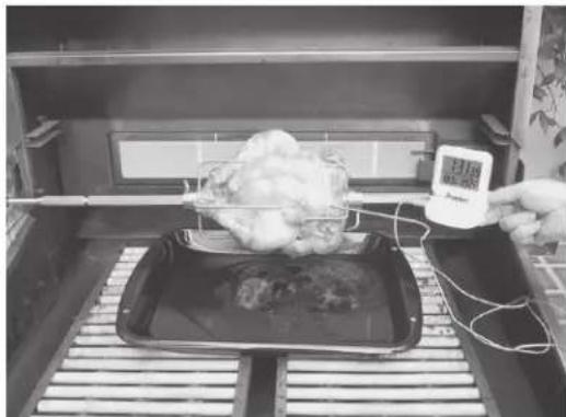 Fisher & Paykel BH130RL - WARNING! - 3