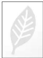 OLIVETTI PGL2750 - EcoPrint - 3
