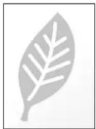 OLIVETTI PGL2750 - EcoPrint - 1