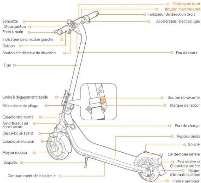 SEGWAY Ninebot eKickScooter E2 Plus E II - Diagramme - 1