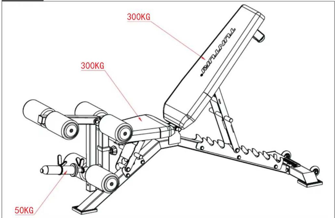 TUNTURI Platinum FG60 - Platinum FG60 Utility Bench - 2