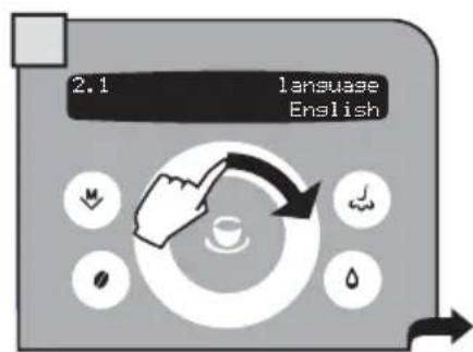 GAGGIA Platinum Swing Up RI8176 - SETTING THE LANGUAGE - 2
