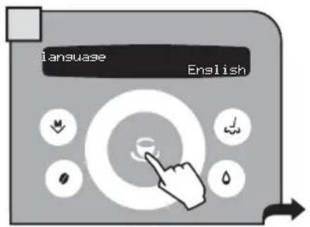 GAGGIA Platinum Swing Up RI8176 - "LANGUAGE" MENU - 3