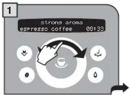 GAGGIA Platinum Swing Up RI8176 - ONLY INSERT ONE SCOOP OF GROUND COFFEE AT A TIME. TWO CUPS OF COFFEE CANNOT BE DISPENSED AT THE SAME TIME. - 1