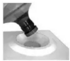 Igloo IWCTL352CHWH - With reusable cap: - 2
