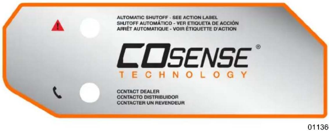 Generac G0076750 - Carbon Monoxide (CO) Detection and Shut-off System (if equipped) - 2