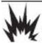 Generac G0076750 - DANGER - 1