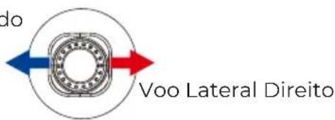 Prixton Alpha Pro - Voo Basko - 7