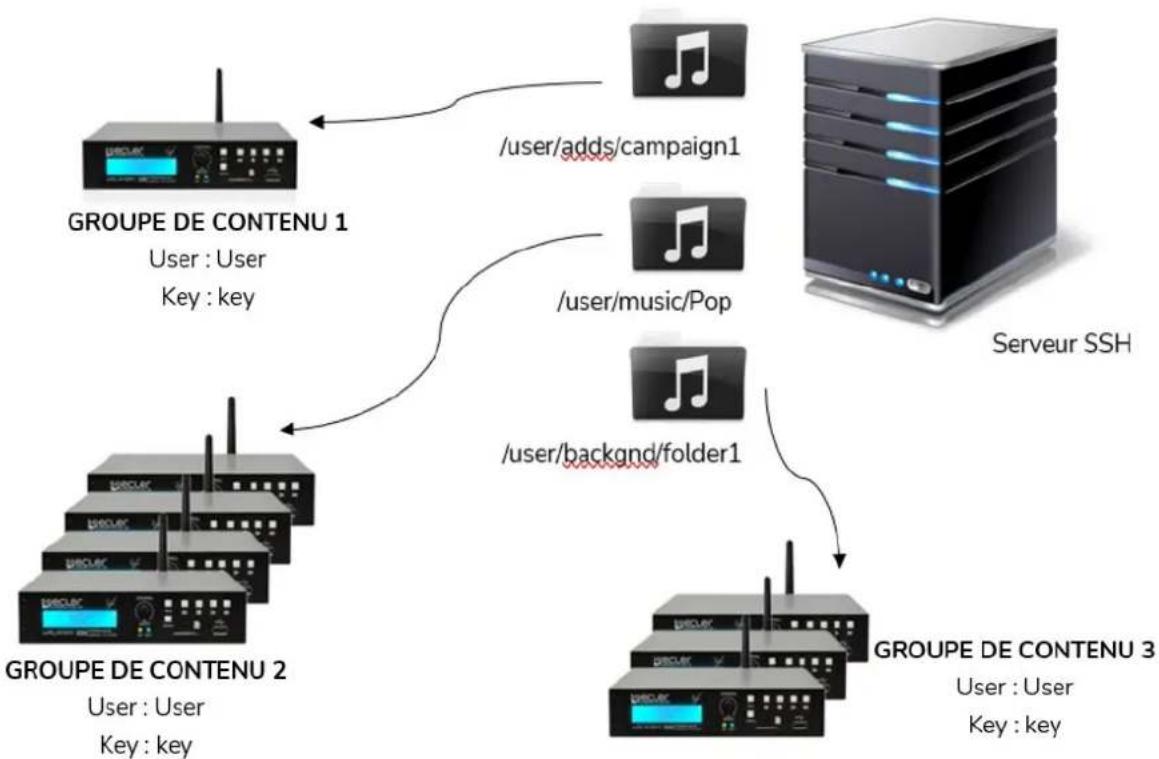 Ecler PLAYER ZERO - GROUPES DE CONTENU - 2