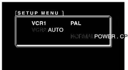 PIONEER AVDW1100V - Wahlen Sie das Videoformat. - 1