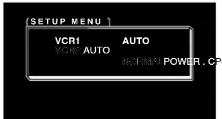 PIONEER AVDW1100V - Display a setup menu. - 1