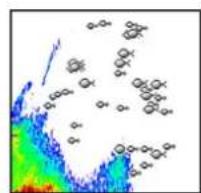 SIMRAD NSS evo3S - Fish ID - 2