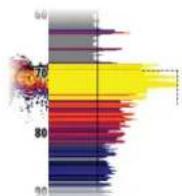 SIMRAD NSS evo3S - Options du scope Amplitude - 2