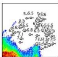 SIMRAD NSS evo3S - Fish ID - 3