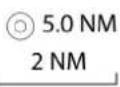 SIMRAD NSS evo3S - Symbole du bateau - 3