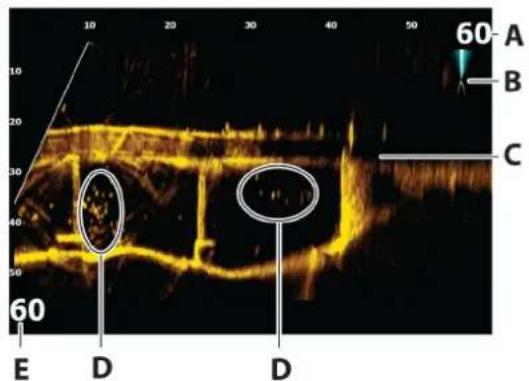 SIMRAD NSS evo3S - Fenêtre Forward ActiveTarget - 1