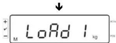 Kern IFS 100K3 - Linearization - 2