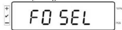 Kern IFS 60K0.5D - Datum einstellen: - 1