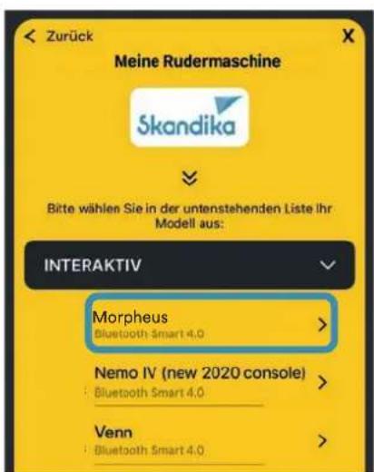 Skandika Morpheus SF2950 - 2) Kinomap - 8