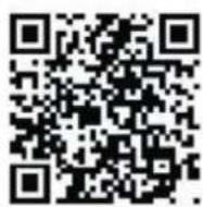 Skandika Morpheus SF2950 - 1) iConsole+ - 1