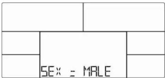 Skandika Morpheus SF2950 - Error messages - 1