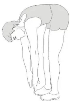 Skandika Morpheus SF2950 - Stretching - 2